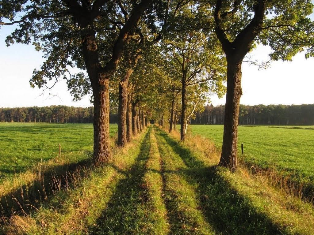 Апартаменты Stal Zwartschaap Stuifzand Номер фото