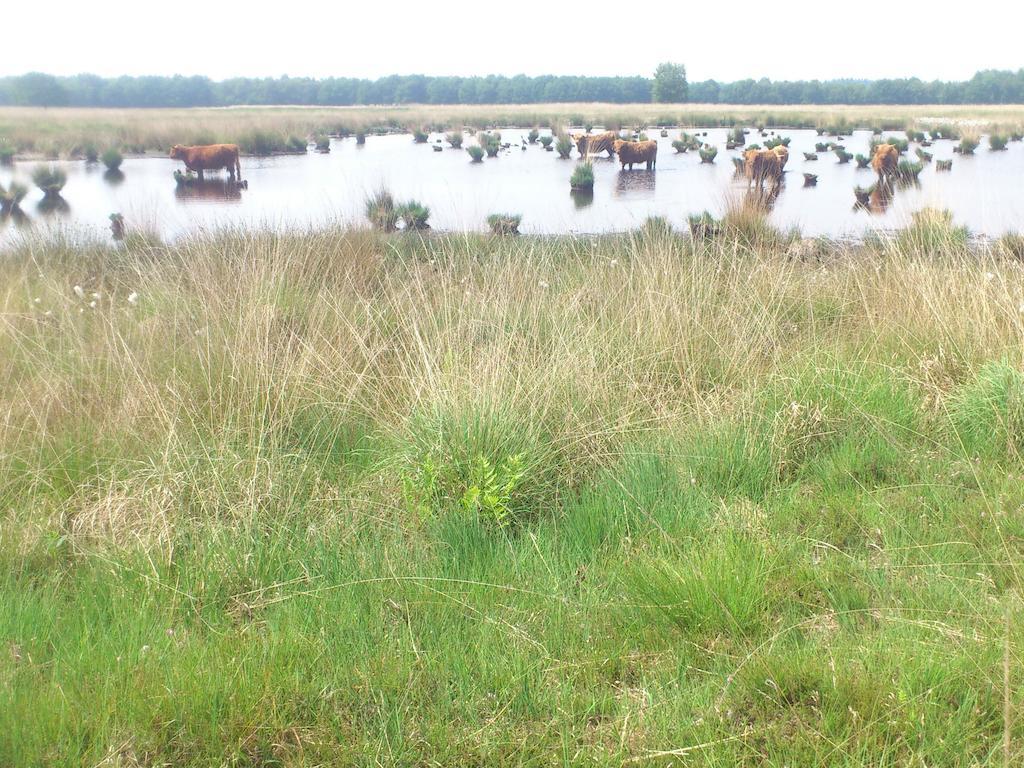 Апартаменты Stal Zwartschaap Stuifzand Экстерьер фото